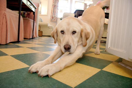 bigstretch.jpg (22235 bytes)